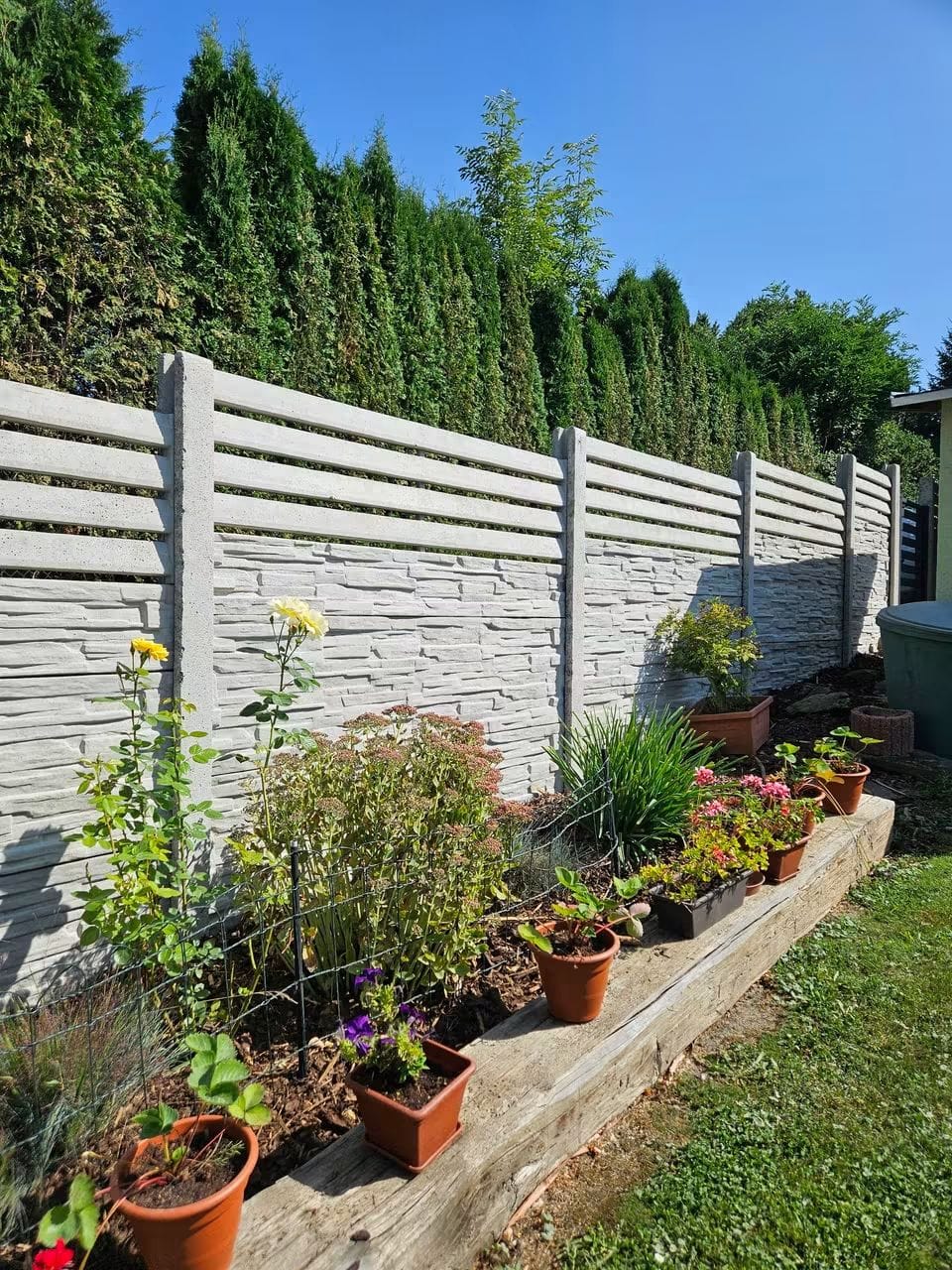 Světlý betonový plot s vodorovnými lamelami u záhonu